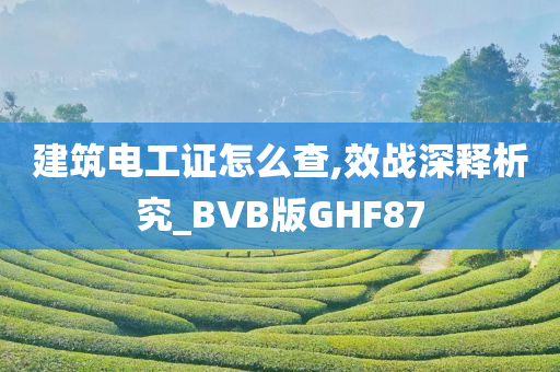 今晚必出三肖2025_2025新澳门精准免费提供·精确判断建筑电工证怎么查,效战深释析究_BVB版GHF87