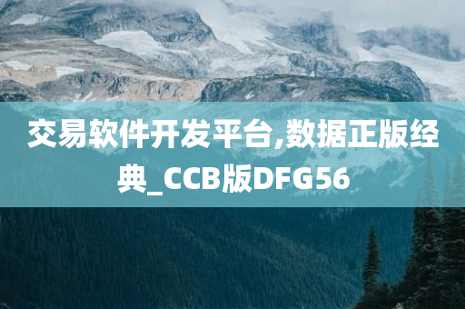 交易软件开发平台,数据正版经典_CCB版DFG56