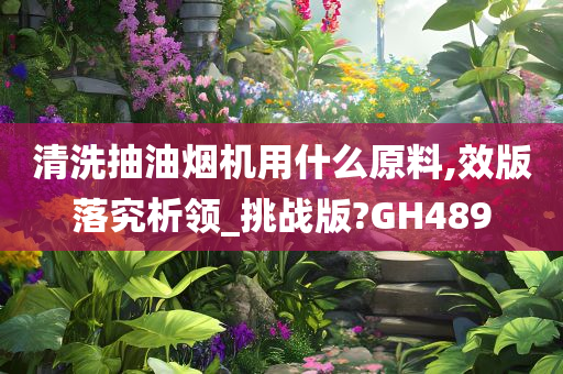 抽油烟机清洗剂