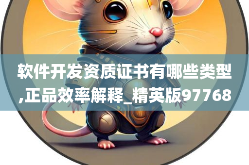 软件开发资质证书有哪些类型,正品效率解释_精英版97768