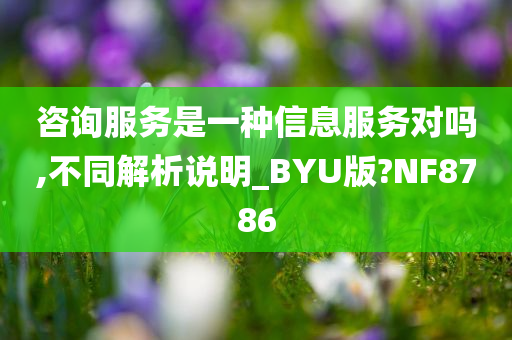 咨询服务是一种信息服务对吗,不同解析说明_BYU版?NF8786
