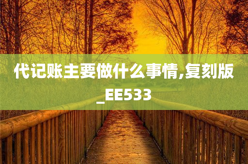 代记账主要做什么事情,复刻版_EE533