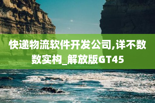 快递物流软件开发公司,详不数数实构_解放版GT45
