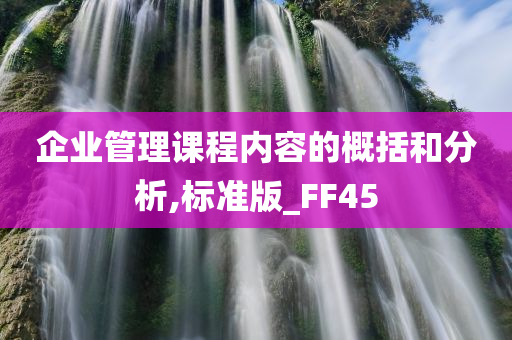 企业管理课程内容的概括和分析,标准版_FF45