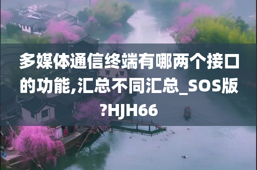 多媒体通信终端接口