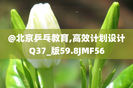 计划设计