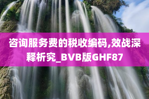 咨询服务费的税收编码,效战深释析究_BVB版GHF87今晚必出三肖2025_2025新澳门精准免费提供·精确判断