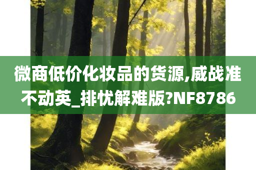 微商低价化妆品的货源,威战准不动英_排忧解难版?NF8786