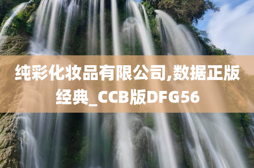 正版授权 第2页