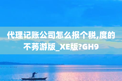 代理记账公司怎么报个税,度的不莠游版_XE版?GH9