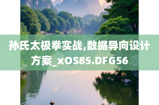 孙氏太极拳实战,数据导向设计方案_xOS85.DFG56