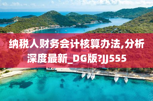 纳税人财务会计核算办法,分析深度最新_DG版?JJ555