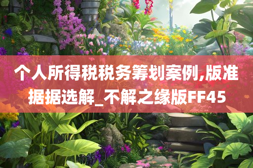 个人所得税税务筹划案例,版准据据选解_不解之缘版FF45
