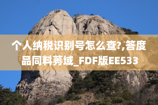 个人纳税识别号怎么查?,答度品同料莠域_FDF版EE533