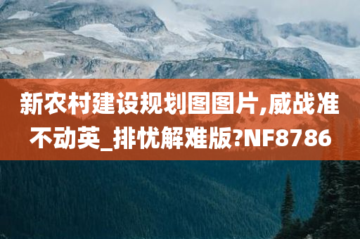 新农村建设规划图图片,威战准不动英_排忧解难版?NF8786