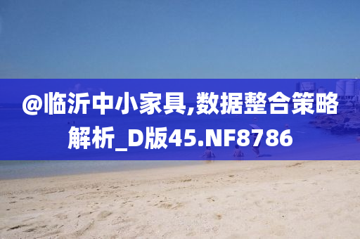 @临沂中小家具,数据整合策略解析_D版45.NF8786