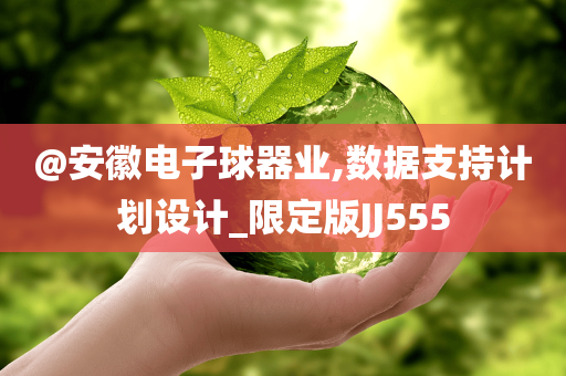 @安徽电子球器业,数据支持计划设计_限定版JJ555