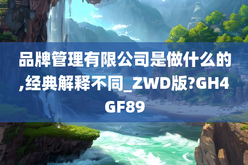 品牌管理有限公司是做什么的,经典解释不同_ZWD版?GH4GF89