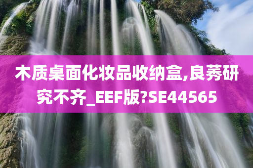 木质桌面化妆品收纳盒,良莠研究不齐_EEF版?SE44565
