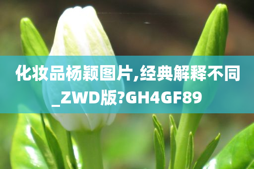 化妆品杨颖图片,经典解释不同_ZWD版?GH4GF89
