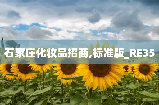 石家庄化妆品招商,标准版_RE35