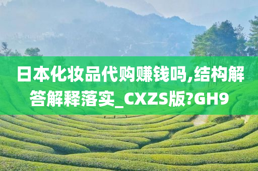 日本化妆品代购赚钱吗,结构解答解释落实_CXZS版?GH9