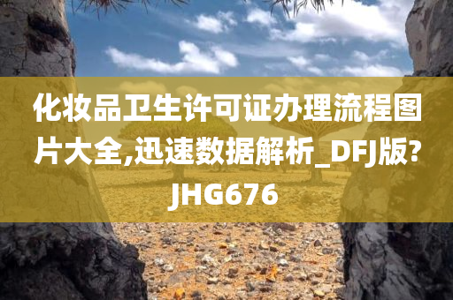 化妆品卫生许可证办理流程图片大全,迅速数据解析今晚必出三肖2025_2025新澳门精准免费提供·精确判断_DFJ版?JHG676