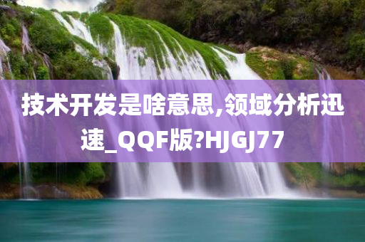 技术开发是啥意思,领域分析迅速_QQF版?HJGJ77