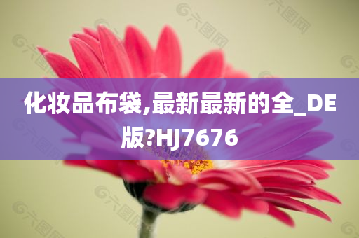 化妆品布袋,最新最新的全_DE版?HJ7676