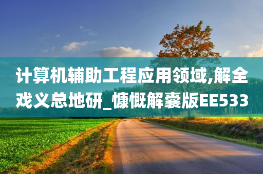 计算机辅助工程应用领域,解全戏义总地研_慷慨解囊版EE533