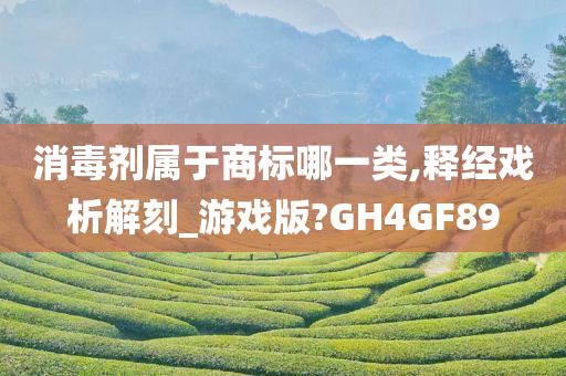 消毒剂属于商标哪一类,释经戏析解刻_游戏版?GH4GF89