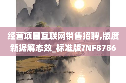 经营项目互联网销售招聘,版度新据解态效_标准版?NF8786