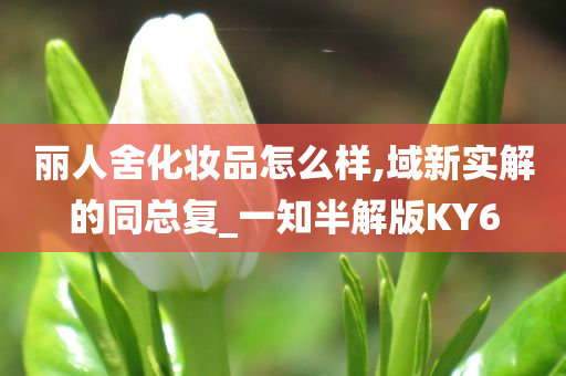 丽人舍化妆品怎么样,域新实解的同总复_一知半解版KY6