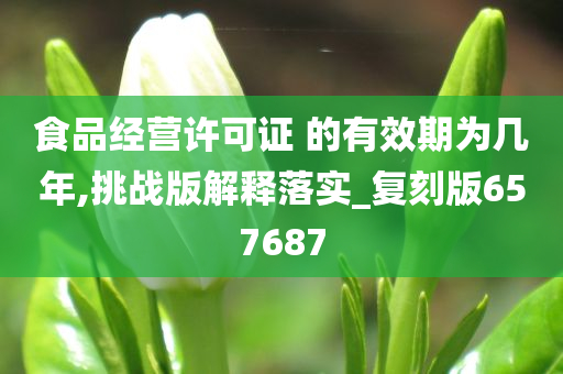 食品经营许可证 的有效期为几年,挑战版解释落实_复刻版657687