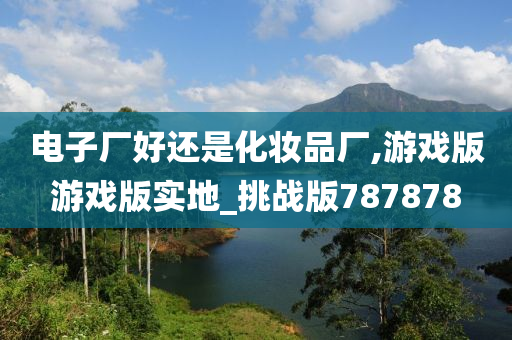 电子厂好还是化妆品厂,游戏版游戏版实地_挑战版787878