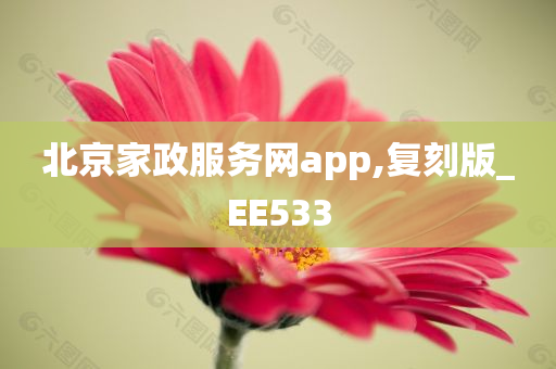 北京家政服务网app,复刻版_EE533