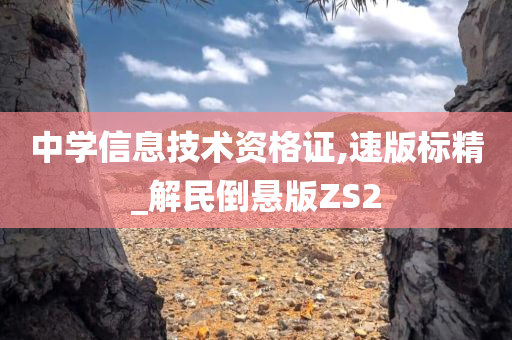 中学信息技术资格证,速版标精_解民倒悬版ZS2