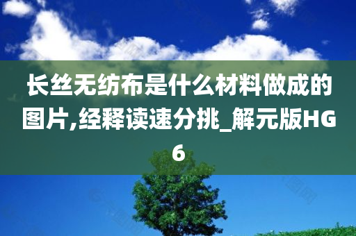 长丝无纺布是什么材料做成的图片,经释读速分挑_解元版HG6