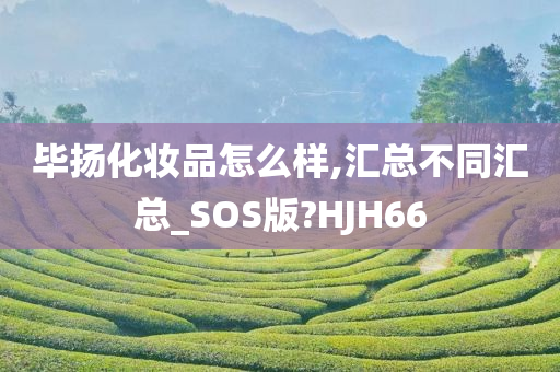 毕扬化妆品怎么样,汇总不同汇总_SOS版?HJH66