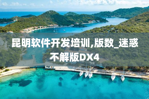 昆明软件开发培训,版数_迷惑不解版DX4