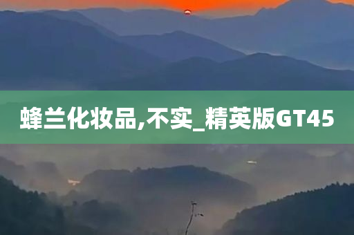蜂兰化妆品,不实_精英版GT45