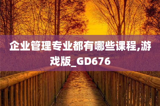 企业管理专业都有哪些课程,游戏版_GD676