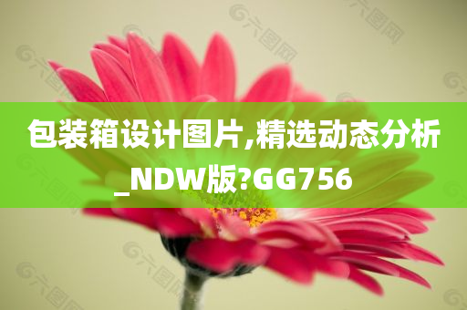 包装箱设计图片,精选动态分析_NDW版?GG756