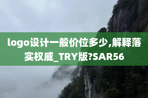 logo设计一般价位多少,解释落实权威_TRY版?SAR56