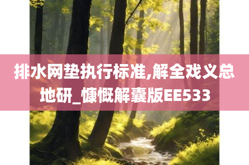 排水网垫执行标准,解全戏义总地研_慷慨解囊版EE533