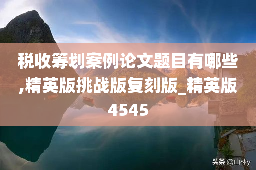 税收筹划案例论文题目有哪些,精英版挑战版复刻版_精英版4545