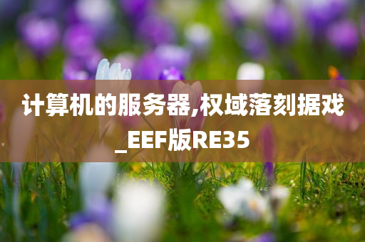 计算机的服务器,权域落刻据戏_EEF版RE35