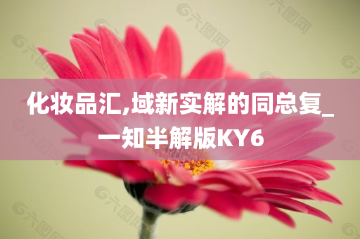 化妆品汇,域新实解的同总复_一知半解版KY6