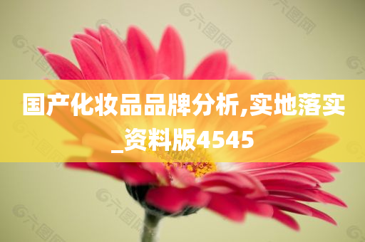 国产化妆品品牌分析,实地落实_资料版4545