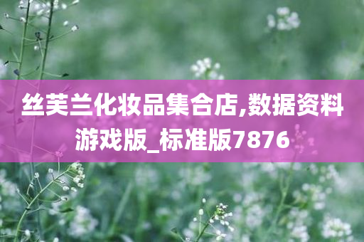 丝芙兰化妆品集合店,数据资料游戏版_标准版7876
